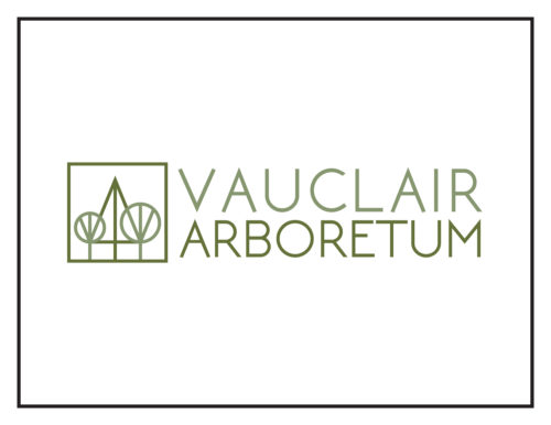 Logo Concept: Vauclair Arboretum